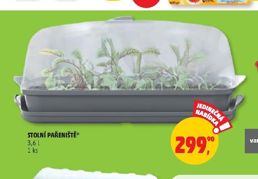 Stolní pařeniště