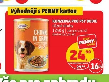 Konzerva pro psy Bodie