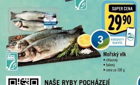 Mořský vlk