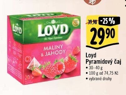 Loyd Pyramidový čaj
