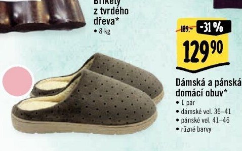 Dámská a pánská domácí obuv*