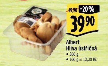 Hlíva ústřičná Albert