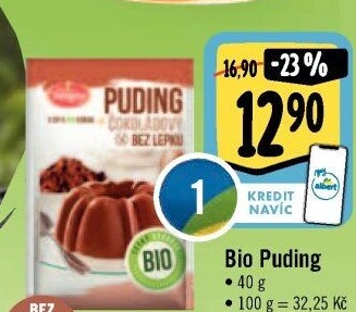 Pudink bez lepku bio Amylon