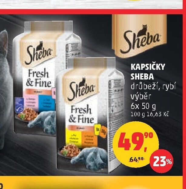 KAPSIČKY SHEBA