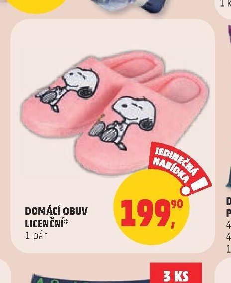 DOMÁCÍ OBUV LICENČNÍ