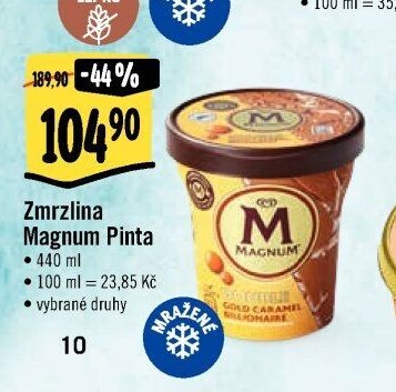 Zmrzlina Magnum Pinta