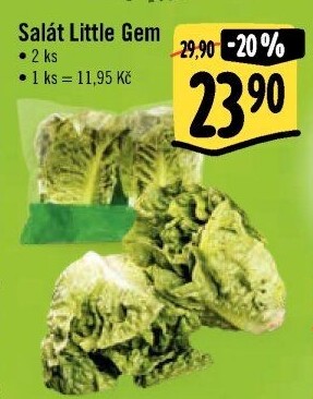 Salát little gem