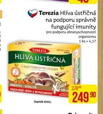 Terezia Hlíva ústřičná na podporu správné fungující imunity