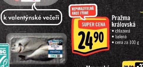 Pražma královská Albert