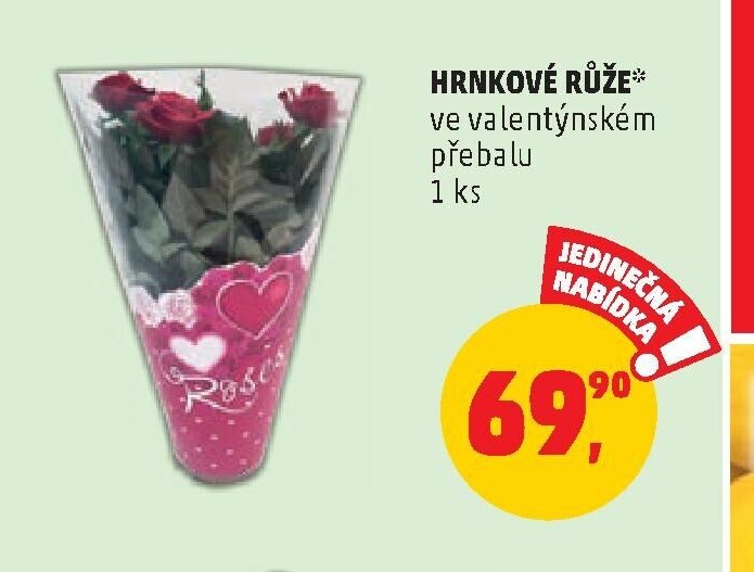 HRNKOVÉ RŮŽE