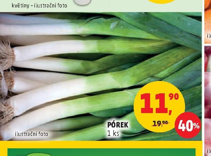 PÓREK
