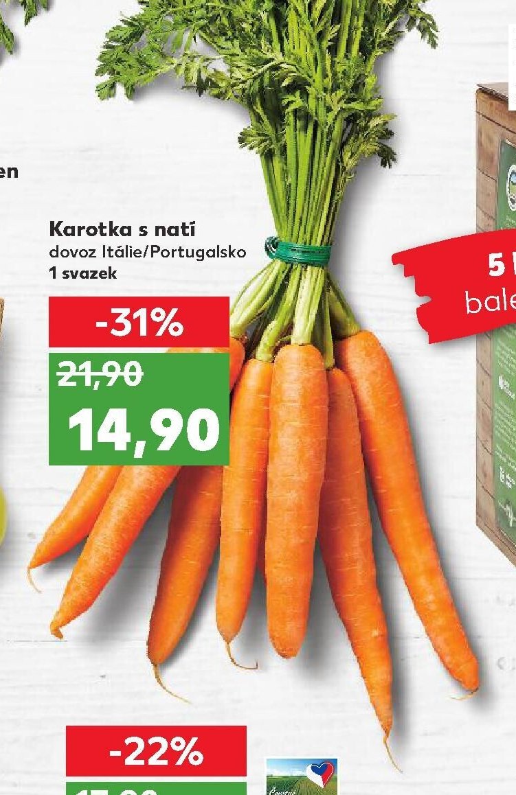Karotka s natí
