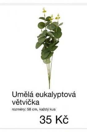 Umělá eukalyptová větvička