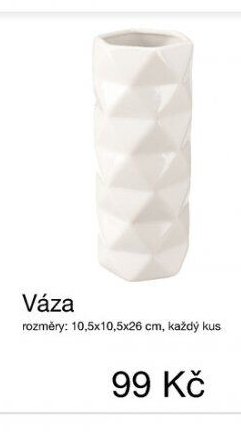 Váza