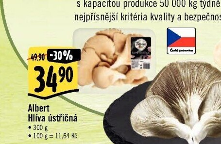 Hlíva ústřičná Albert