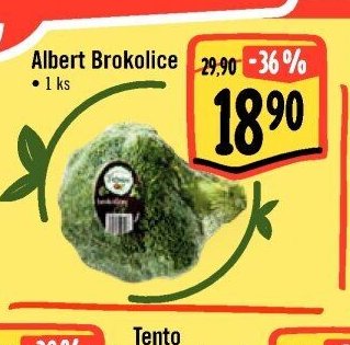 Albert Brokolice