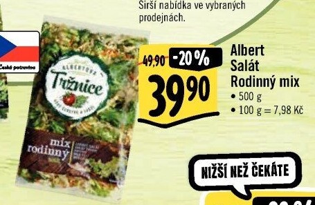 Salát rodinný mix Albert