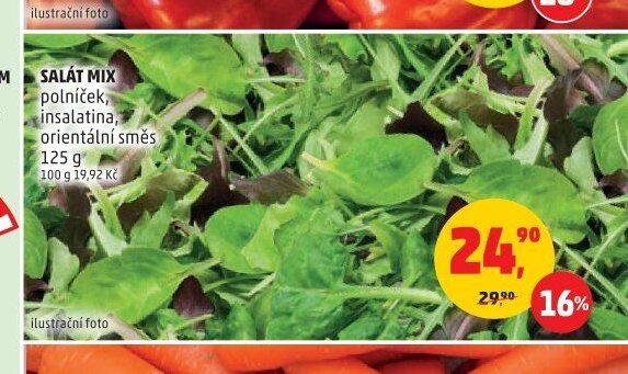 SALÁT MIX polníček, insalatina, orientální směs