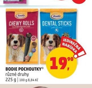 BODIE POCHOUTKY