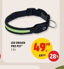 LED OBOJEK PRO PSY