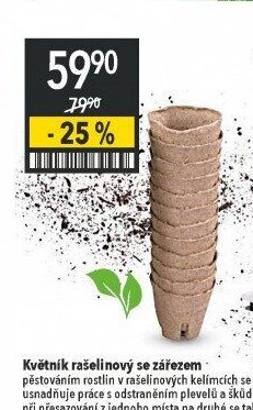 Květník rašelinový se zářezem