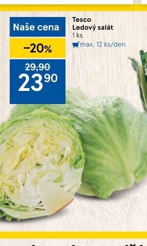 Tesco Ledový salát