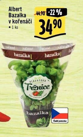 Bylinky v květináči Albert