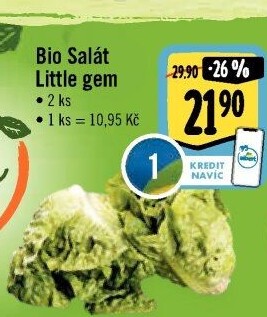 Salát little gem bio