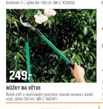 NŮŽKY NA VĚTVE