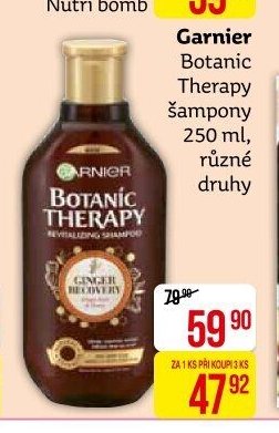 Garnier Botanic Therapy šampony 250 ml