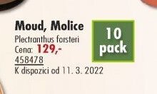 Moud, Molice - UNI HOBBY akcniletaky.com
