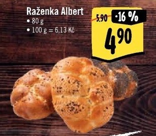 Raženka Albert