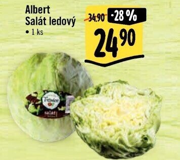 Salát ledový Albert