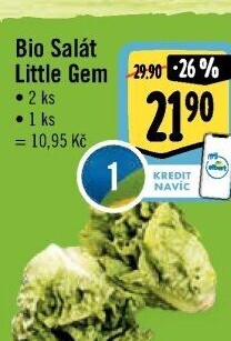 Salát little gem bio