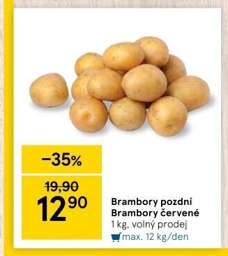 Brambory konzumní pozdní