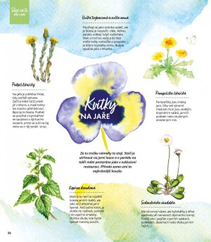 akční leták Albert 2.3.2022-29.3.2022