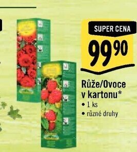 Sazenice ovocných keříků Nohel Garden