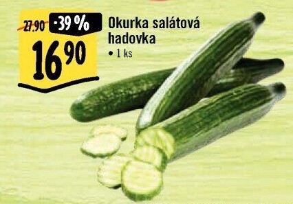 Okurka hadovka