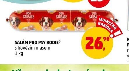 SALÁM PRO PSY BODIE