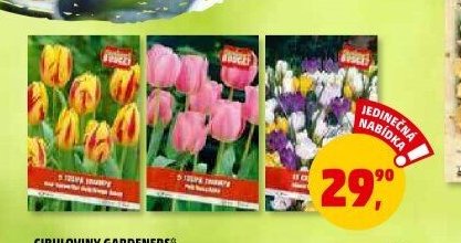Cibuloviny Gardeners