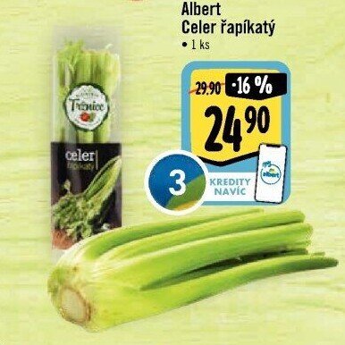 Celer řapíkatý Albert