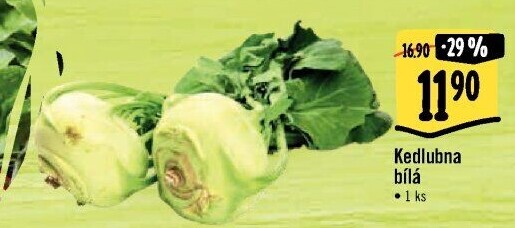 Kedlubna bílá