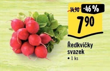 Ředkvičky svazek