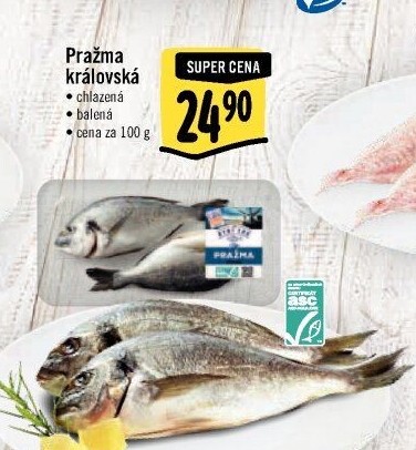 Pražma královská Albert