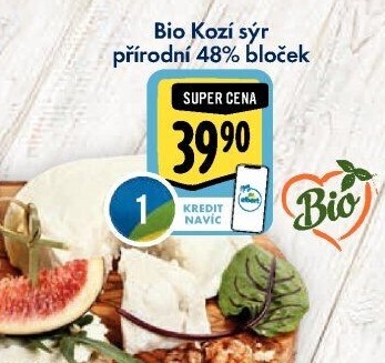 Sýr kozí přírodní bio 48%