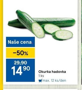 Okurka hadovka