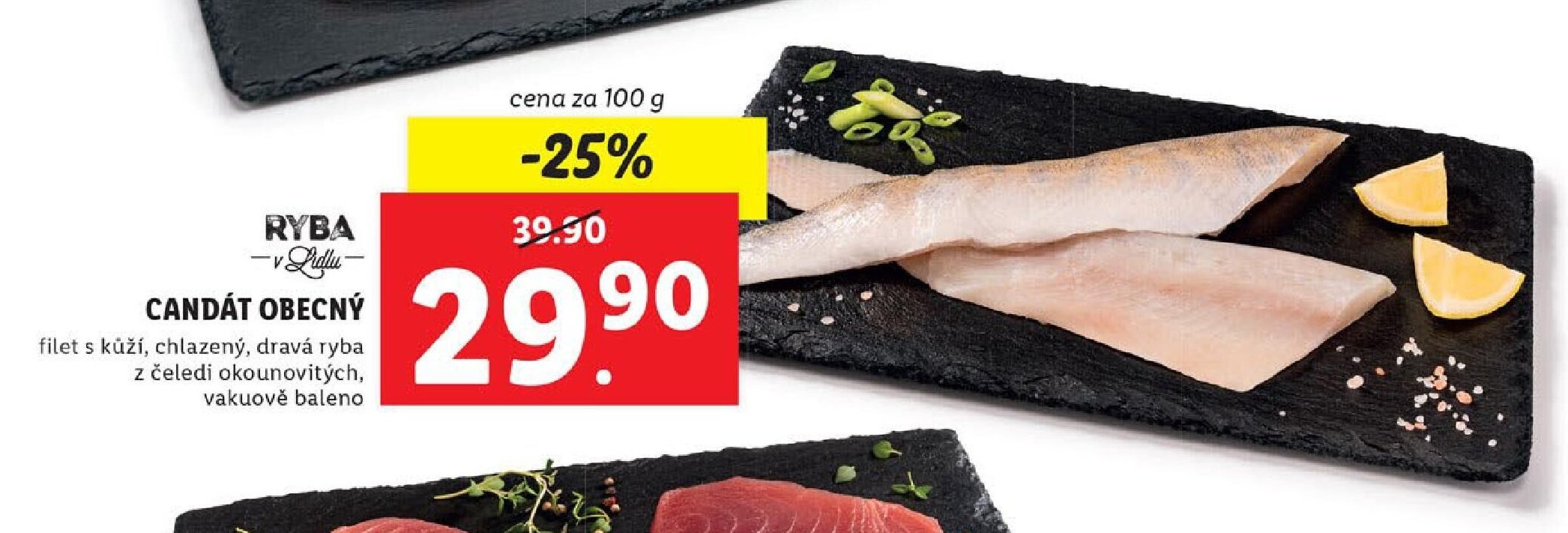 RYBA CANDÁT OBECNÝ