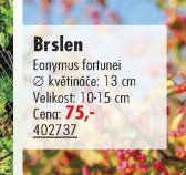 Brslen - UNI HOBBY akcniletaky.com