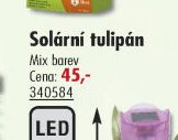 Solární tulipán - UNI HOBBY akcniletaky.com