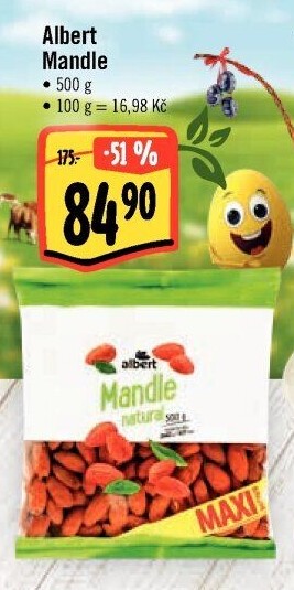 Mandle Albert
